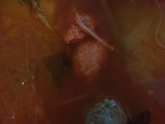 -张亮麻辣烫(北京富力又一城店)