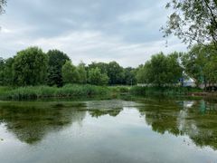 -望湖公园