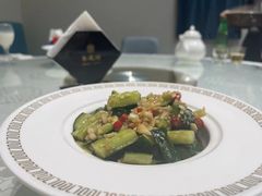 -丁老爷子苏香圆