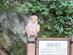 -黔灵山公园