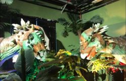 -恐龙探索乐园(磁器口店)