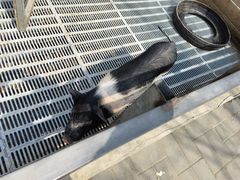 -北京鹿世界主题园