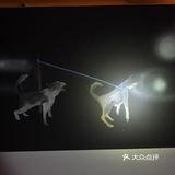 【魔都艺展地图】哪里有阴影，那里就有光
