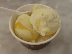 白桃冰淇淋-哈根达斯(国瑞店)