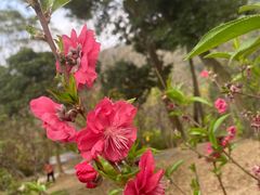 -桃花涧