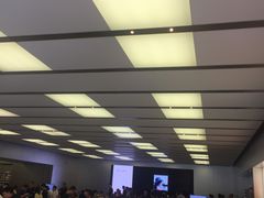 -Apple零售店(深圳益田假日广场店)