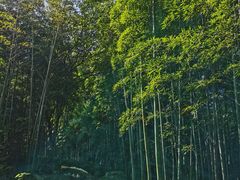 -天目湖涵田度假村