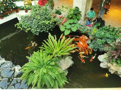 -白天鹅宾馆-宏图府餐厅