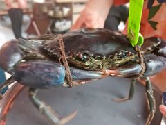 -Ministry of Crab•MOC(交子大道店)