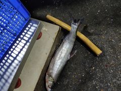-笑红饭庄