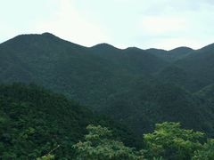 -四明山国家森林公园