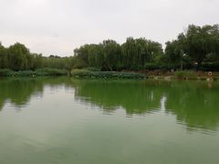 -燕郊植物园