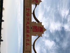 -金塔沙漠胡杨林景区