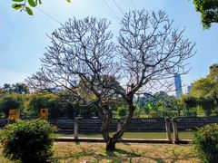 -晓港公园