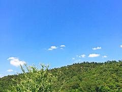 iphone_upload_pic-王家小院