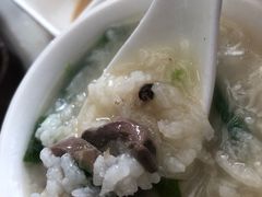 -MR鹅外