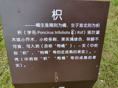 -福建土楼(南靖)景区