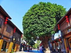 -三坊七巷历史文化街区