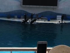 -北戴河圣蓝海洋公园