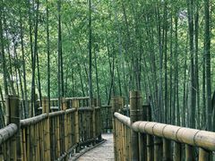 -陶祖圣境风景区