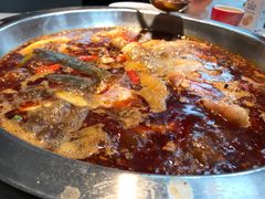-蜀滋香鲜鱼美蛙火锅(339店)