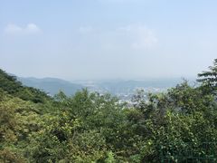 -香山公园-东宫门售票处
