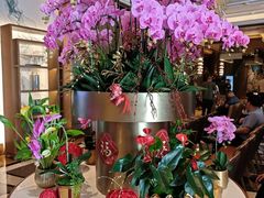 -金悦轩海鲜酒家(拱北店)