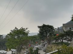 景观位-老幺泉水鸡