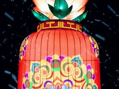 -丁香湖公园