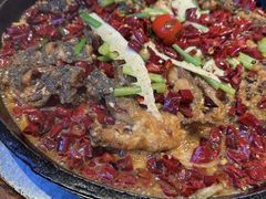 -老板恋上鱼(恒隆广场店)