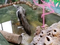 -常州淹城野生动物世界