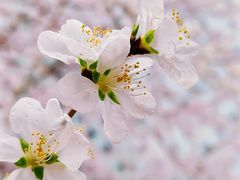 -红星美凯龙(东北全球家居1号店)