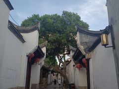 -三坊七巷历史文化街区