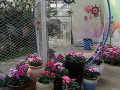 -石家庄市植物园