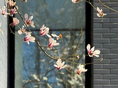 -北京航空航天大学-图书馆