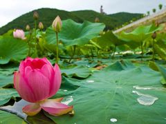 -六鼎山文化旅游区