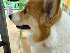 -海之鲜大排档(东山海鲜金銮湾店)