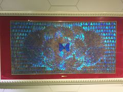 -上海昆虫博物馆