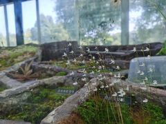 -北京植物园-展览温室