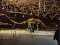 -世界恐龙谷景区