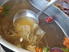 草本锅底-菌子鲜汤野生菌锅