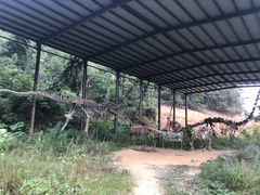 -木兰云雾山