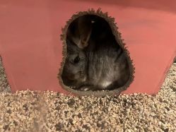 -酷嗒动物文化乐园(cutezoo西溪乐天城店)