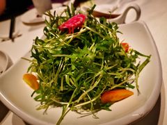 捞汁空心菜苗-申粤轩酒楼·三十年粤菜经典(丁香花园店)