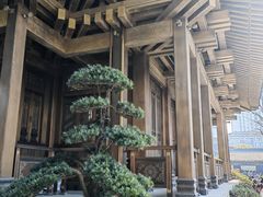-香积寺