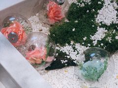 -上海尚嘉中心