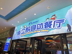 -帝企鹅自助餐厅•儿童岛•真企鹅(长隆企鹅酒店)