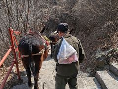 -鸡鸣山旅游景区