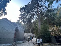 -香山公园