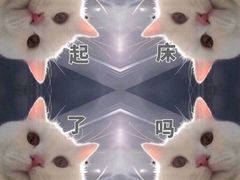 -大玩家(中原万达广场店)